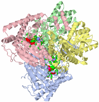 Image Asym./Biol. Unit - sites