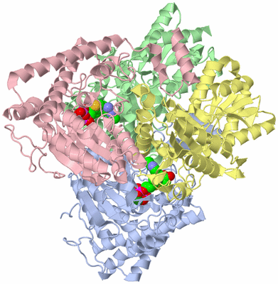 Image Asym./Biol. Unit