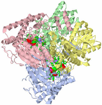 Image Asym./Biol. Unit - sites