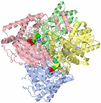 Image Asym./Biol. Unit