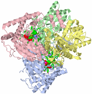 Image Asym./Biol. Unit - sites