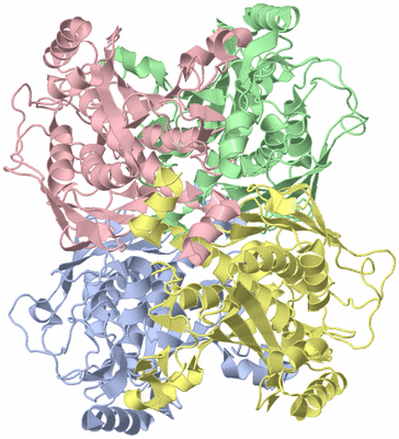 Image Asym./Biol. Unit
