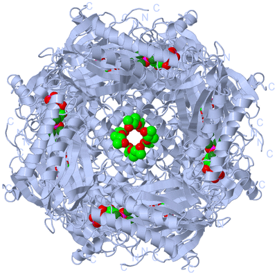 Image Biological Unit 1