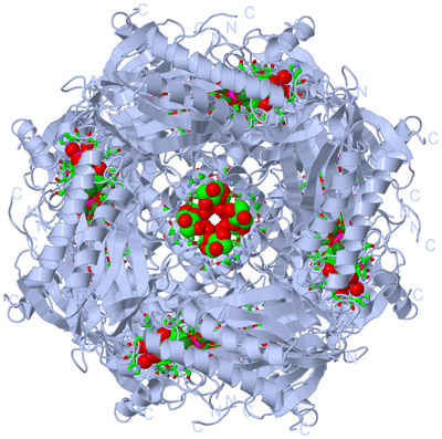 Image Biol. Unit 1 - sites