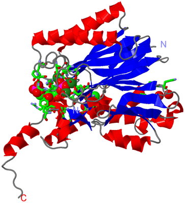 Image Asym. Unit - sites