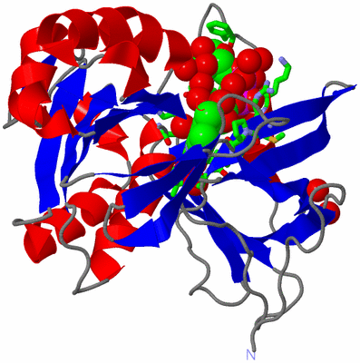 Image Asym./Biol. Unit - sites