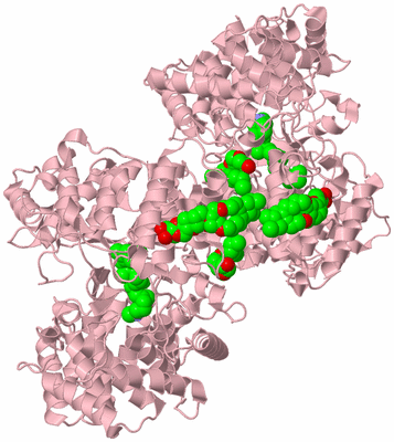 Image Biological Unit 3