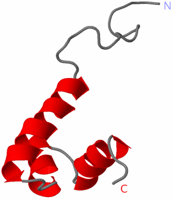 Image NMR Structure - model 1