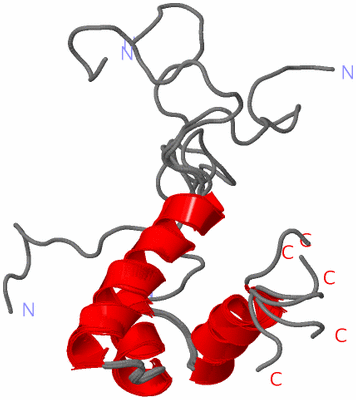 Image NMR Structure - all models