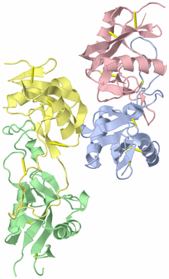 Image Asymmetric Unit