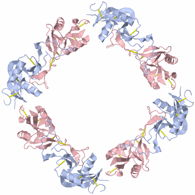 Image Biological Unit 1