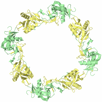 Image Biological Unit 2
