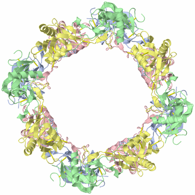 Image Biological Unit 3