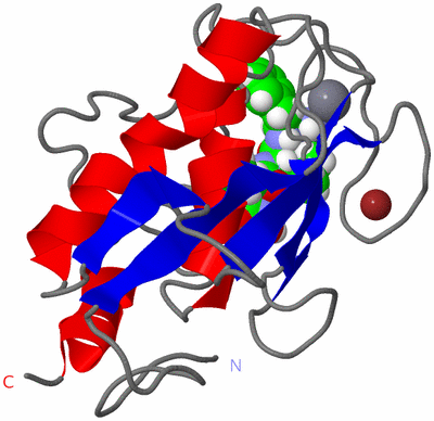 Image NMR Structure - model 1