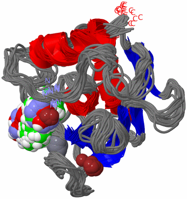 Image NMR Structure - all models