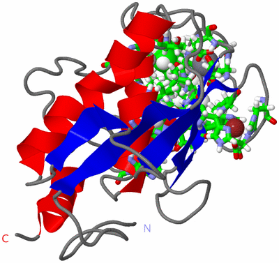 Image NMR Structure - model 1, sites