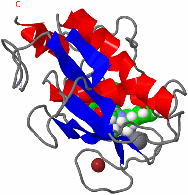 Image NMR Structure - model 1