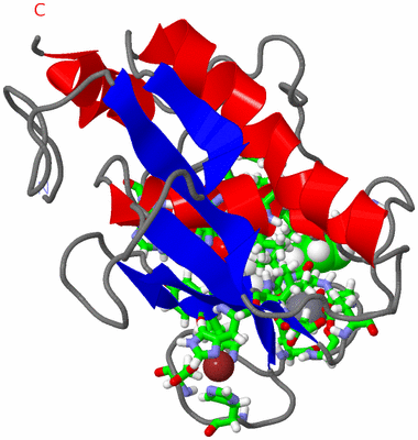 Image NMR Structure - model 1, sites