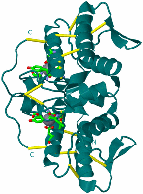 Image Biol. Unit 1 - sites