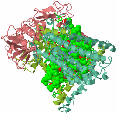 Image Asym./Biol. Unit - sites