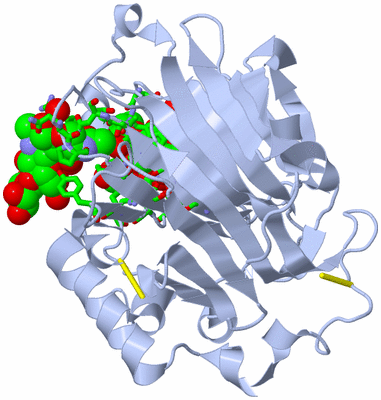 Image Biol. Unit 1 - sites