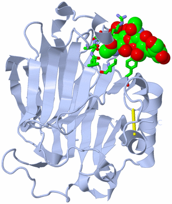 Image Biol. Unit 1 - sites