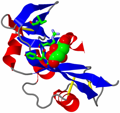 Image Asym./Biol. Unit - sites