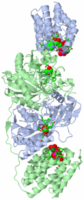 Image Asym./Biol. Unit - sites