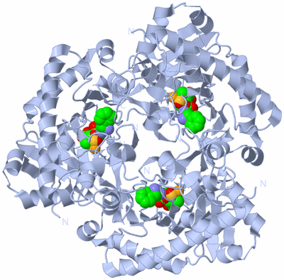 Image Biological Unit 1