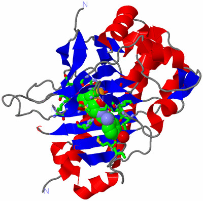 Image Asym. Unit - sites