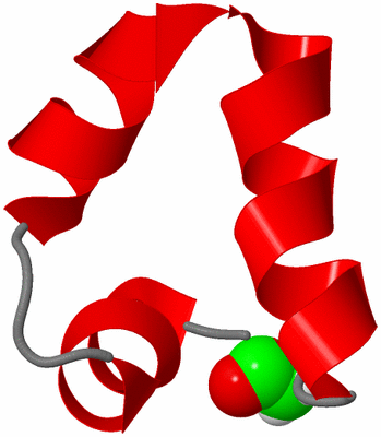 Image NMR Structure - model 1