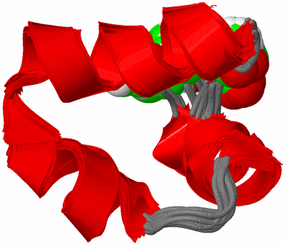 Image NMR Structure - all models