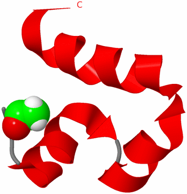 Image NMR Structure - model 1