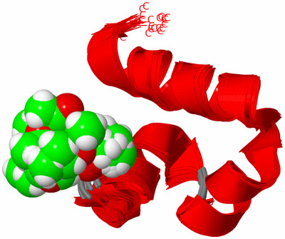 Image NMR Structure - all models