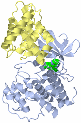 Image Biological Unit 1