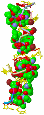 Image Biological Unit 1