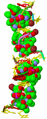 Image Biological Unit 2