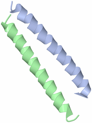 Image Asymmetric Unit