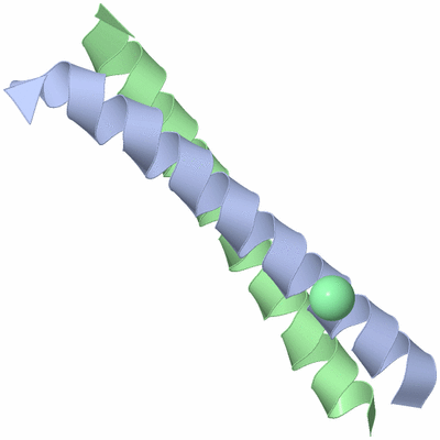 Image Asymmetric Unit