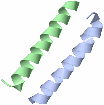 Image Asymmetric Unit