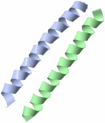 Image Asymmetric Unit