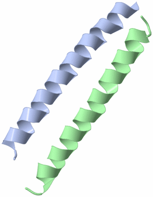 Image Asymmetric Unit