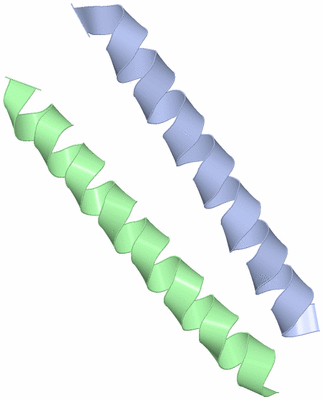 Image Asymmetric Unit