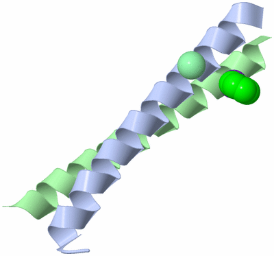 Image Asymmetric Unit