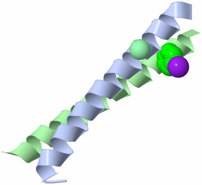 Image Asymmetric Unit