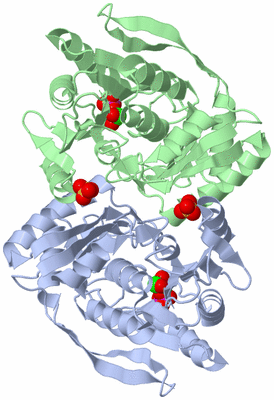 Image Asym./Biol. Unit