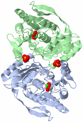 Image Asym./Biol. Unit