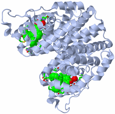 Image Biol. Unit 1 - sites