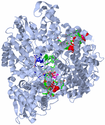 Image Biol. Unit 1 - sites