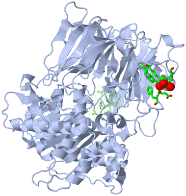 Image Asym./Biol. Unit - sites